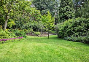 Optimiser l'expérience du jardin à L'Etang-Bertrand